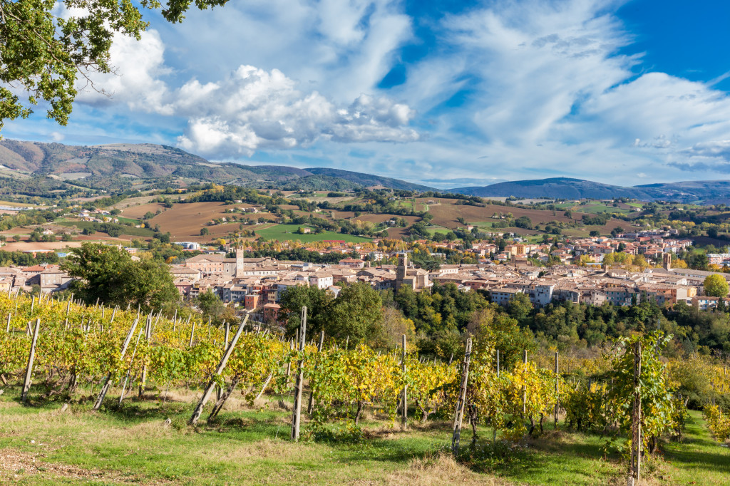 La bella città di Matelica e le sue vigne. Foto © Maurizio Paradisi